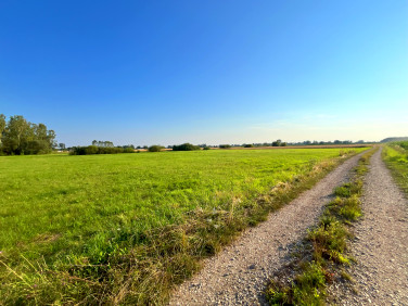 Działka budowlana Żabiec