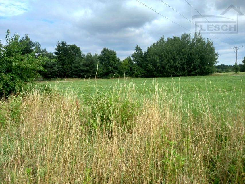 Działka budowlana Młochów sprzedam