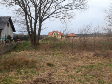 Działka budowlana Koźla