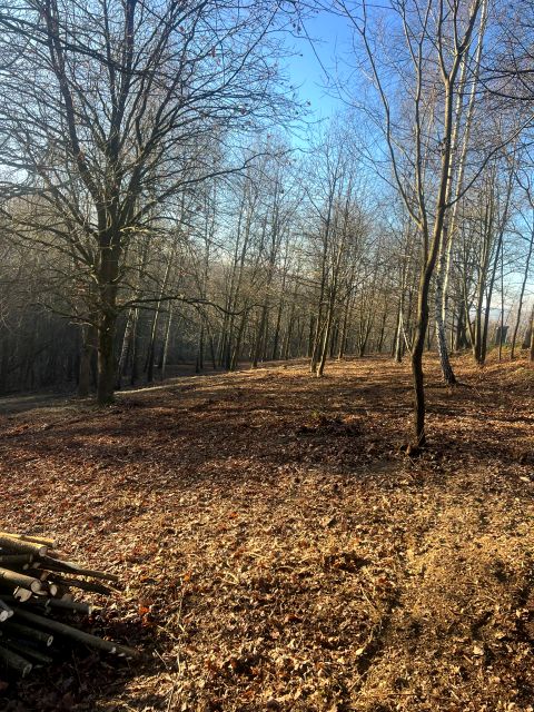 Działka budowlano-rolna Siepraw