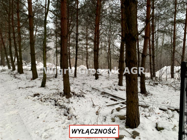 Działka budowlana Kaliszki