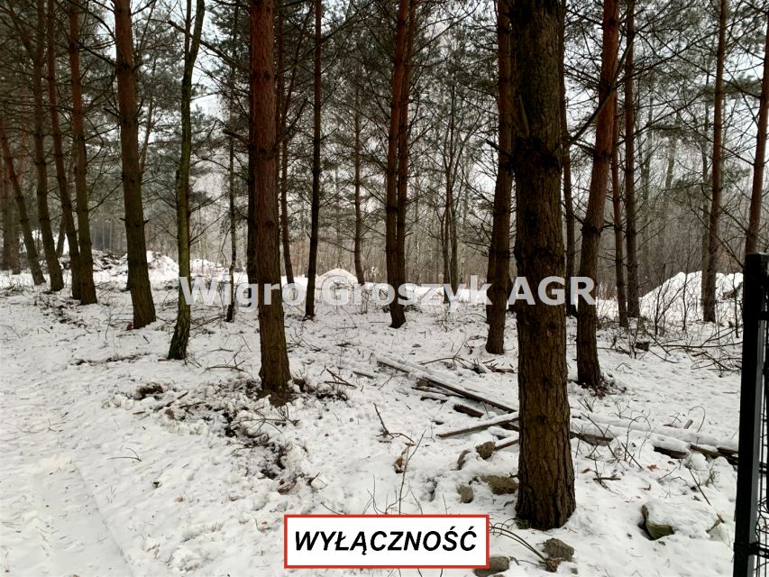 Działka budowlana Kaliszki
