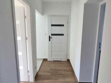 Mieszkanie Lewin Brzeski