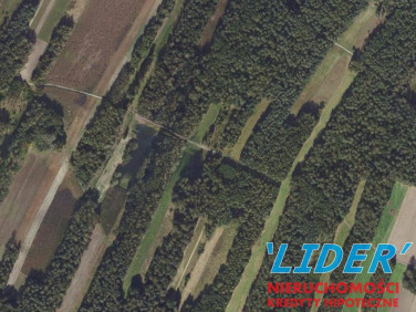 Działka rolna Bieruń