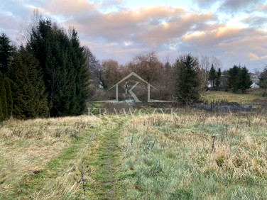 Pusta działka Parsów