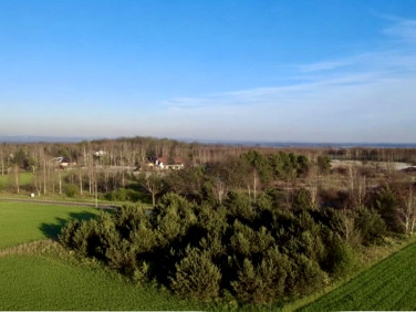 Działka budowlana Brzezina sprzedam