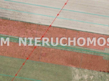 Działka usługowa Orzesze