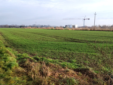 Działka budowlana Ciechocinek