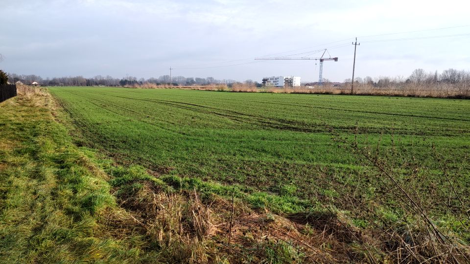 Działka budowlana Ciechocinek