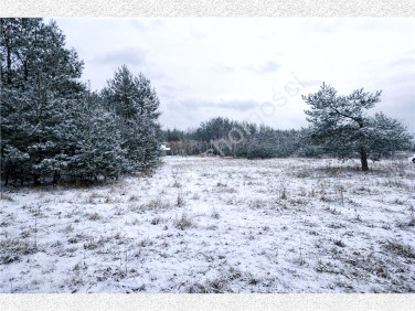 Działka budowlana Marynin