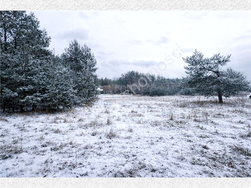 Działka budowlana Marynin