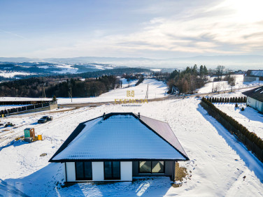 Dom wolnostojący sprzedaż