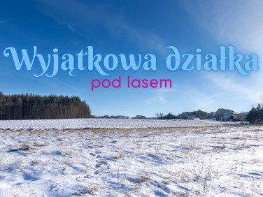 Działka Kobyla