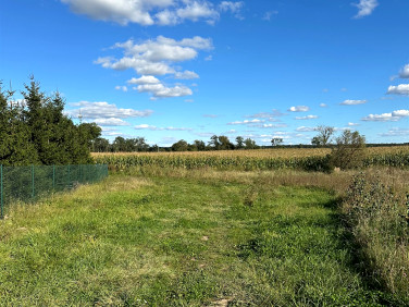 Działka rolna Kamionki Małe