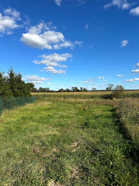 Działka rolna Kamionki Małe