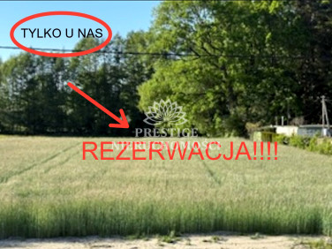 Działka Nekla