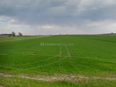 Działka budowlana Perzyny