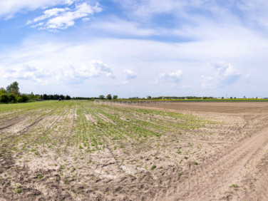 Działka budowlana Poznań