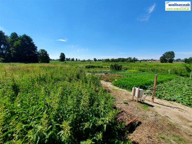 Działka siedliskowa Piotrków Trybunalski