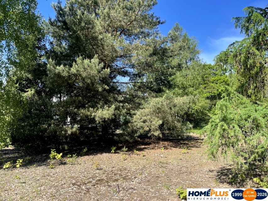 Działka budowlana Arciechów