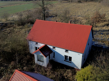 Dom wolnostojący sprzedaż