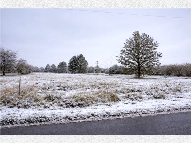 Działka budowlana Żabia Wola