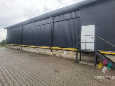 Budynek użytkowy Dorotowo