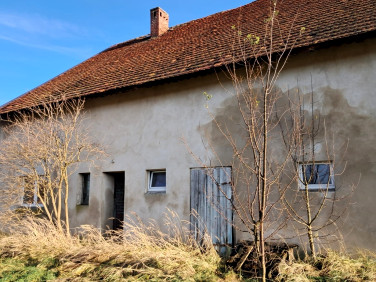 Budynek użytkowy Młodzianów