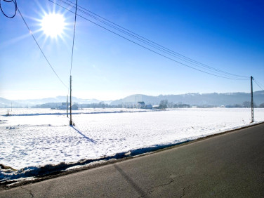 Działka budowlana Roztoka-Brzeziny