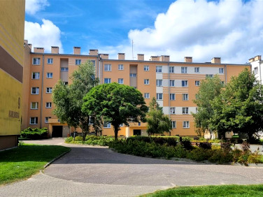 Mieszkanie Szczecinek