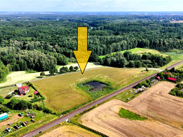 Działka usługowa Sitno
