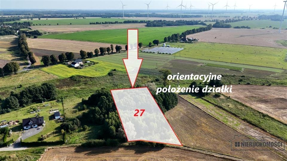 Zdjęcie 3