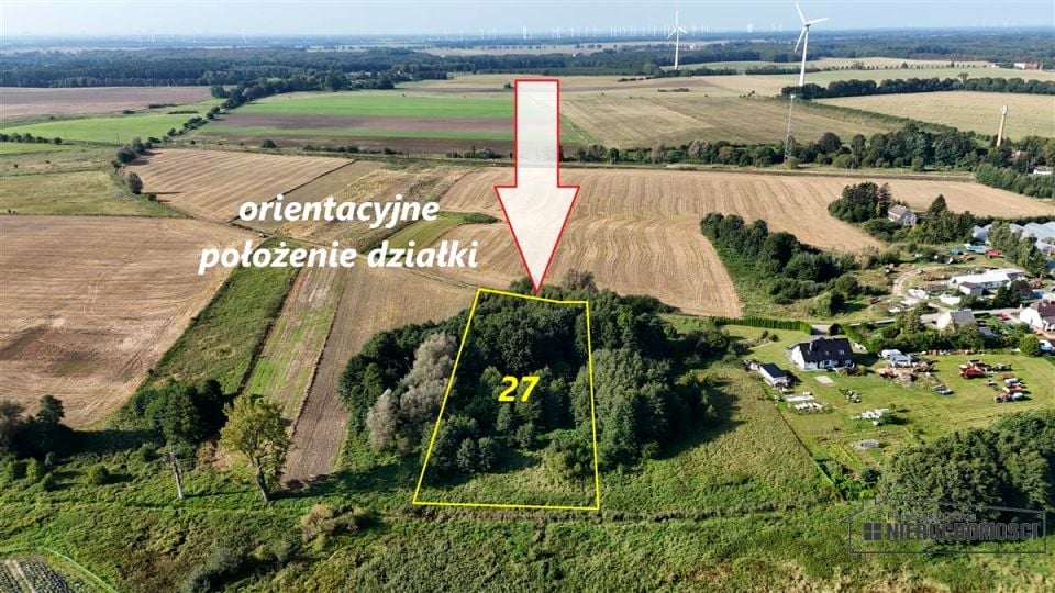 Zdjęcie 2