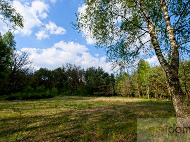 Działka budowlana Strzeniówka