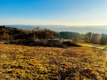Działka Siemiechów