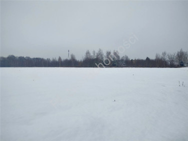 Działka budowlana Odrano-Wola