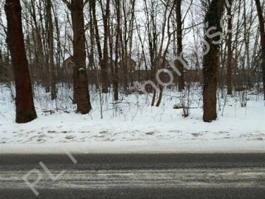 Działka budowlana Grodzisk Mazowiecki