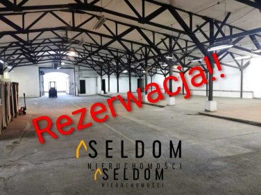 Budynek użytkowy Jelenia Góra