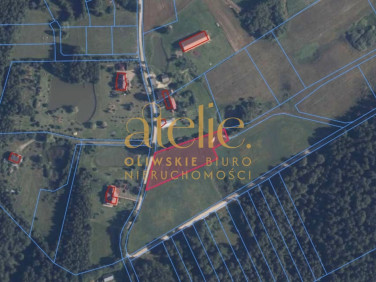 Działka rolna Nowa Wieś Przywidzka