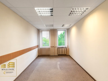 Lokal Lublin wynajem