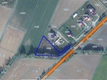 Pusta działka Grzebienisko