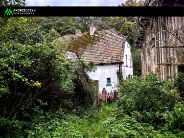 Działka rolna Bychowo