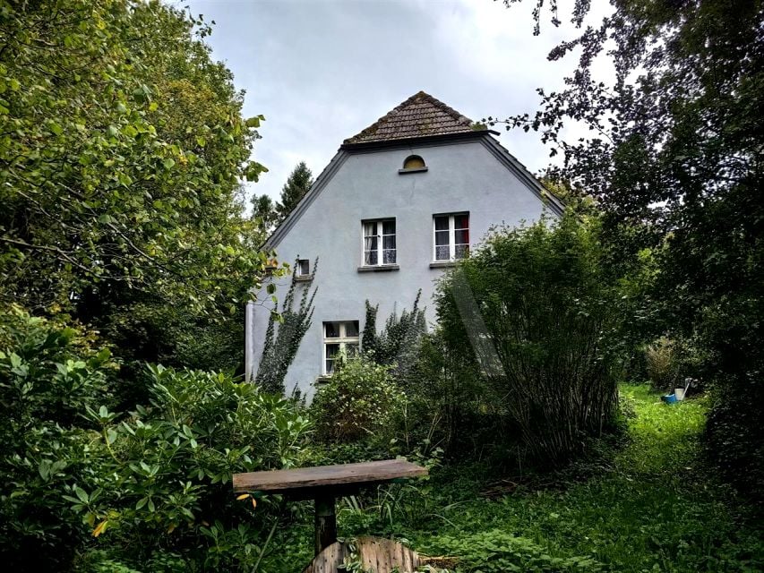 Zdjęcie 3