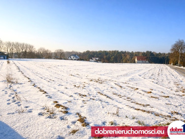 Działka budowlana Żołędowo
