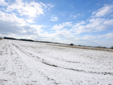 Działka usługowa Smolęcin