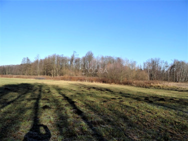 Działka budowlana Chwałowice