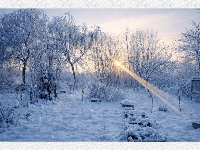 Dom Budy Michałowskie sprzedaż