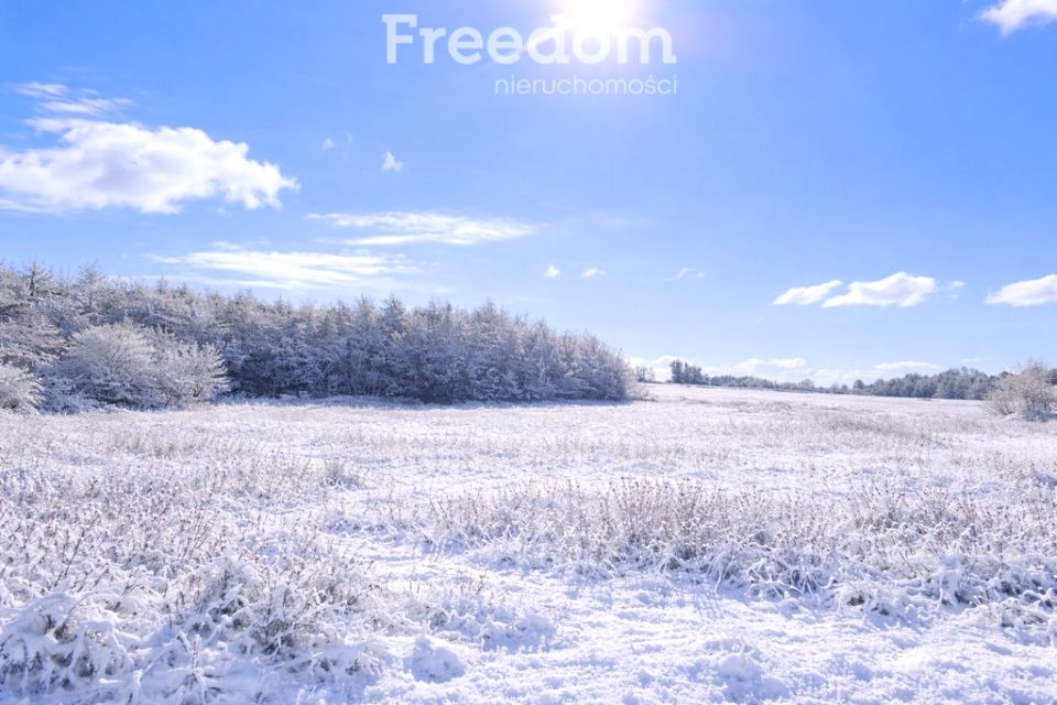 Działka siedliskowa SROKOWO