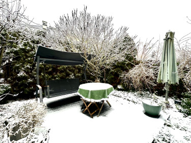 Mieszkanie dom wielorodzinny wynajem