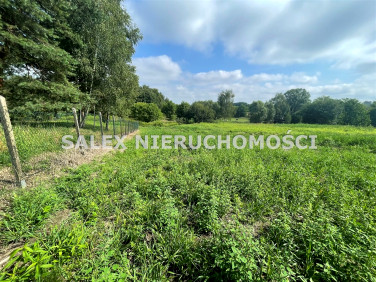 Działka budowlana Rybnik